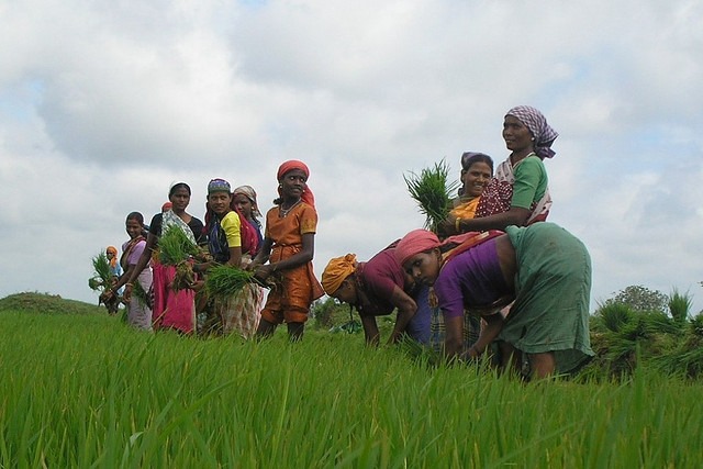 Chhattisgarh-Culture