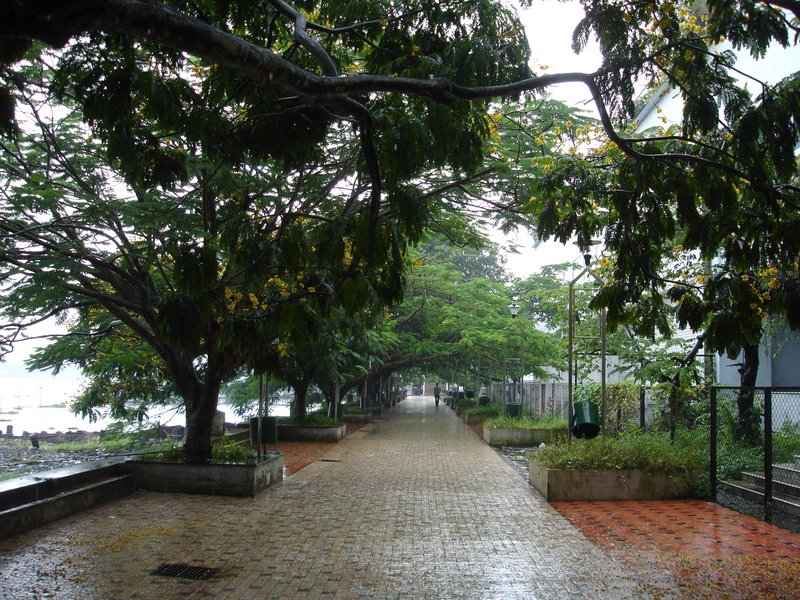 Kochi-Marine-Drive