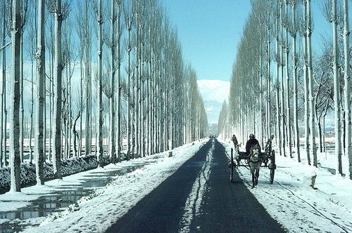 Gulmarg-in-Winter