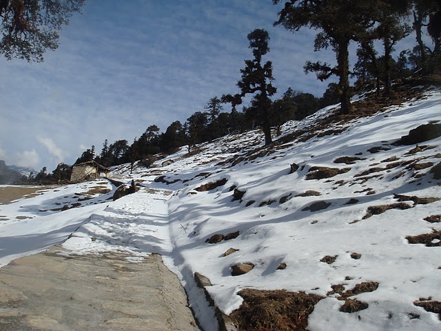 chopta-in-winter