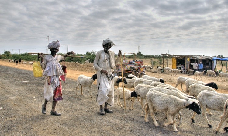 Tribes-of-Kutch-Gujarat