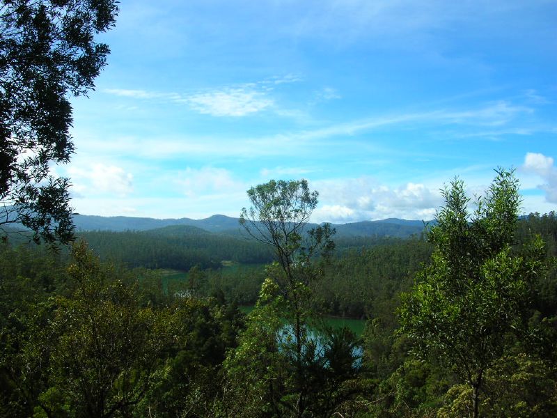 Nilgiri-Hill-Ranges