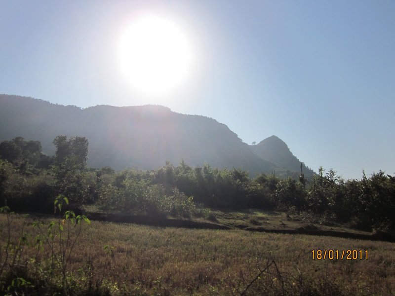 Niyamgiri-hill-range