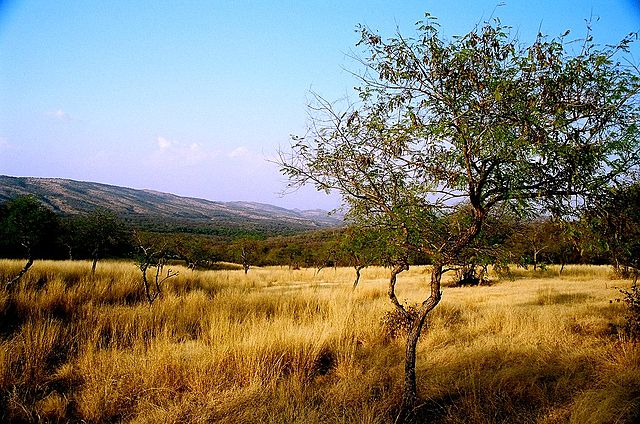 Ranthambhore_Aravali_range