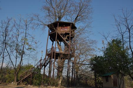 tree-house-Mudumalai