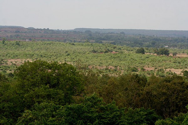 Ananthagiri_hill_Forest