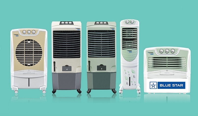 Best company hot sale in cooler